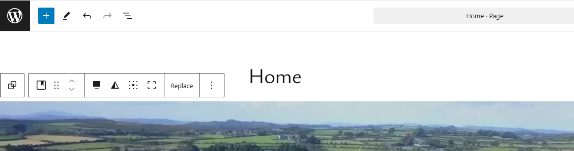 Home page video
